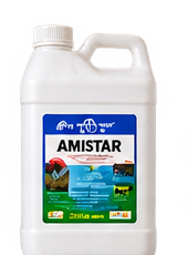 Trinite Agrovet Amistar fungicide in West Pokot, Kenya
