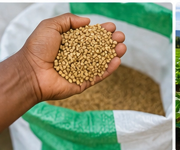 Practical Feeding Tips for Healthy Livestock
