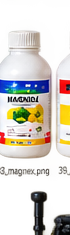 Magnex