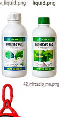 Miracle Me