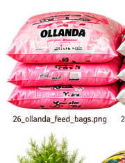 Trinite Agrovet Ollanda animal feed in West Pokot, Kenya